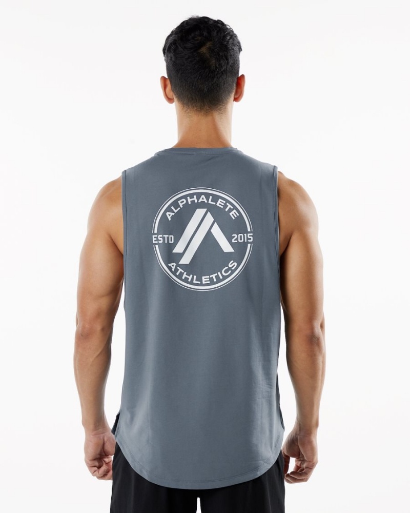 Camiseta Tirantes Alphalete Dynasty Tank Hombre Carbon | IWTSJL-523