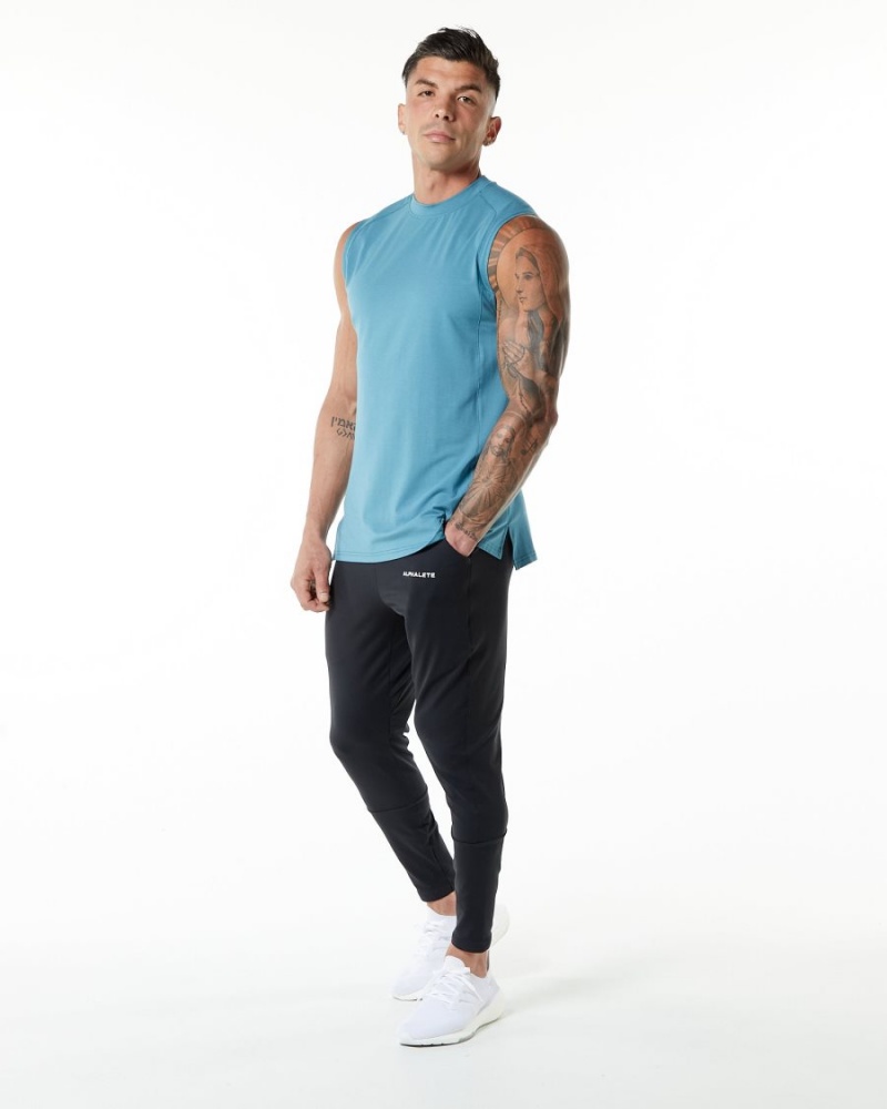 Camiseta Tirantes Alphalete Evo Tank Hombre Azules | VRPFDH-497