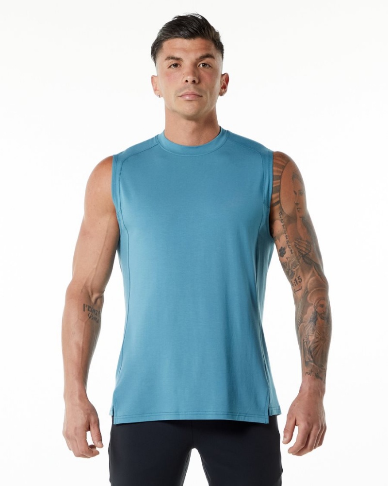 Camiseta Tirantes Alphalete Evo Tank Hombre Azules | VRPFDH-497