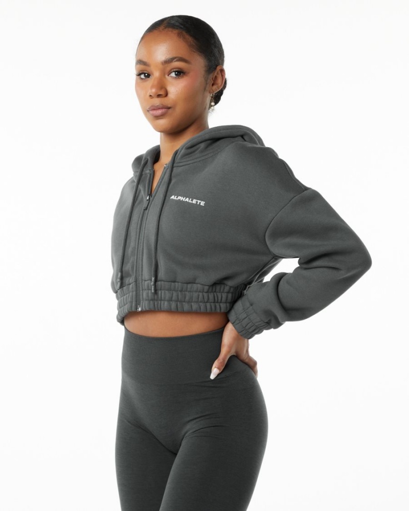 Chaquetas Alphalete Classic Capital Full-Zip Crop Jacket Mujer Smoke | MNISFW-962