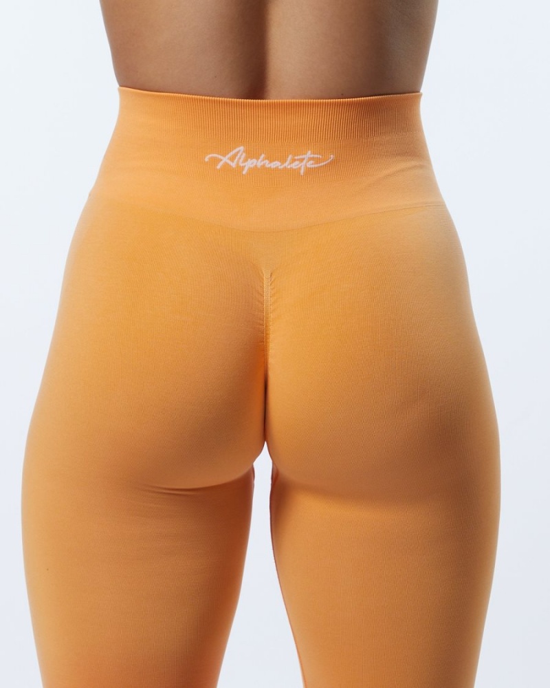 Leggins Alphalete Ombre Amplify Legging Mujer Day Tripper | YCVNKG-648