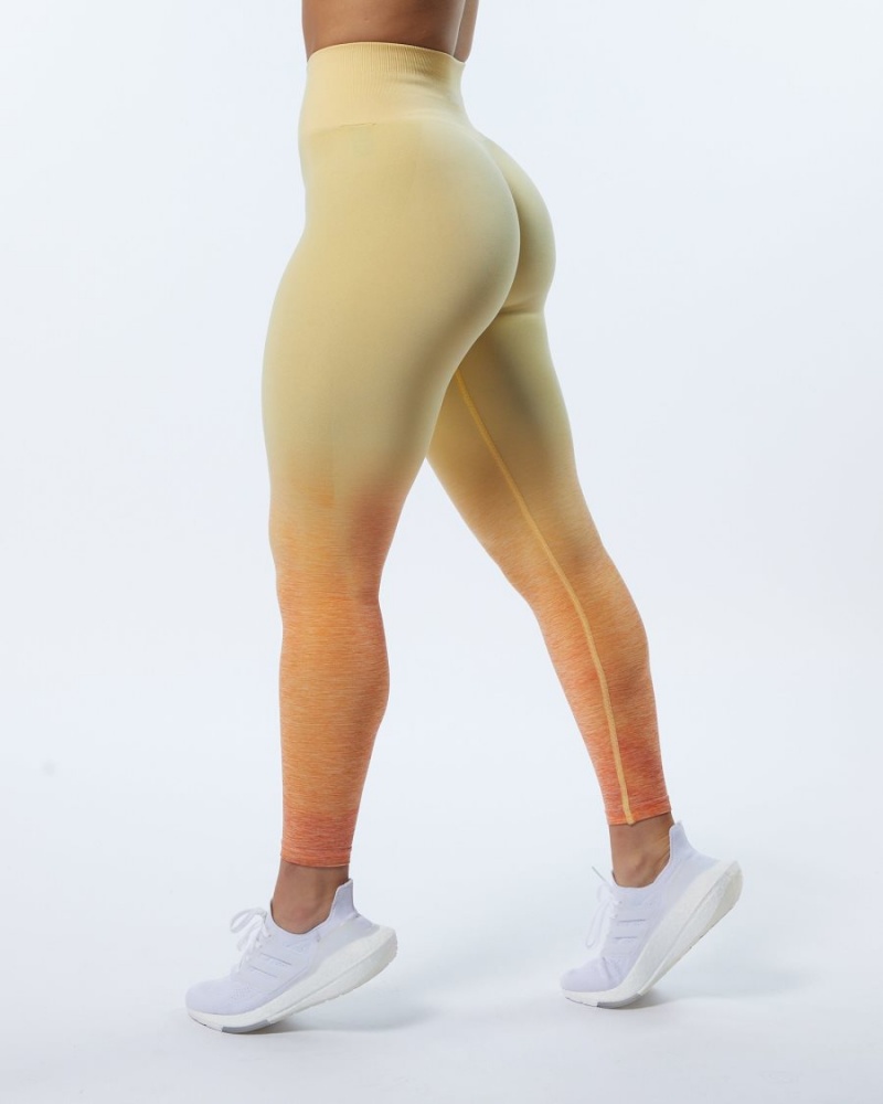 Leggins Alphalete Ombre Amplify Legging Mujer Honey | TZUFHP-682