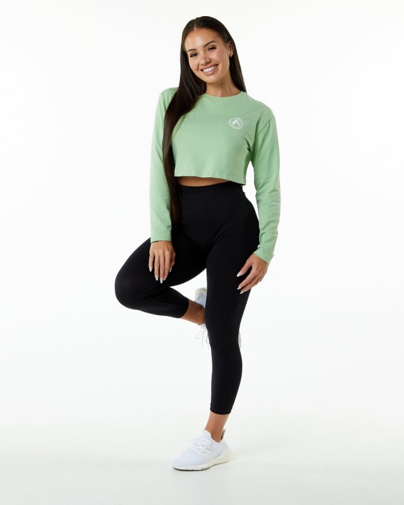 Manga Larga Alphalete Dynasty LS Crop Mujer Pistachio | YOLPEV-049