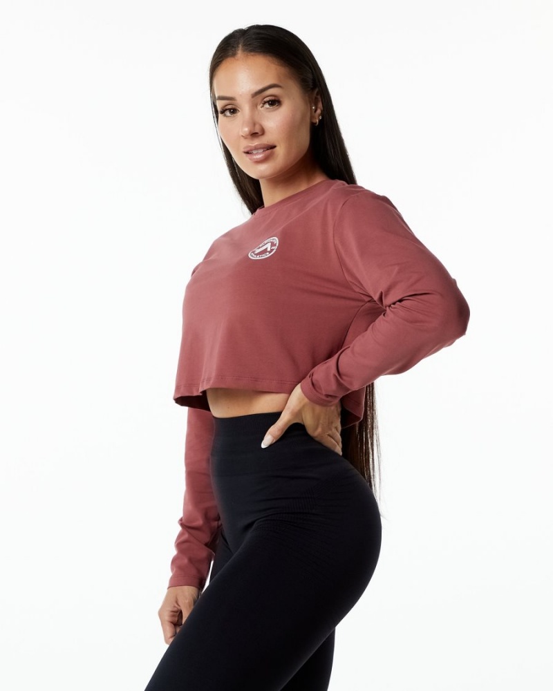 Manga Larga Alphalete Dynasty LS Crop Mujer Gingerbread | YNHERO-381