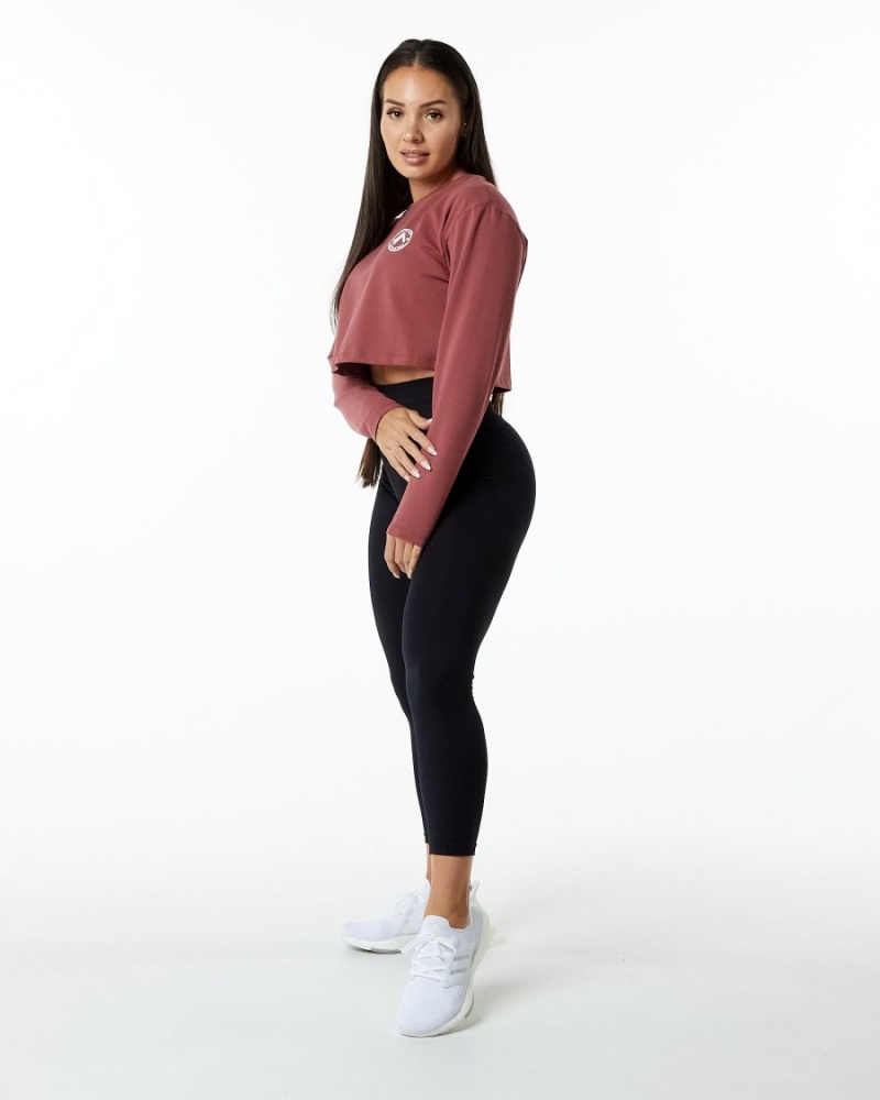 Manga Larga Alphalete Dynasty LS Crop Mujer Gingerbread | YNHERO-381