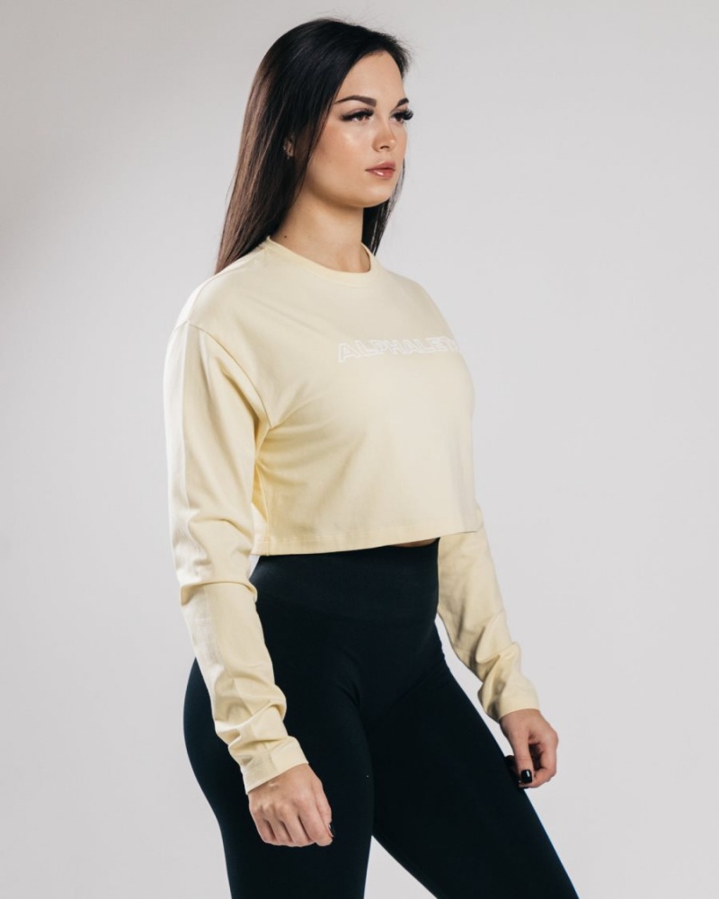 Manga Larga Alphalete Outlined Long Sleeve Crop Mujer Sea Salt | QIREAP-530