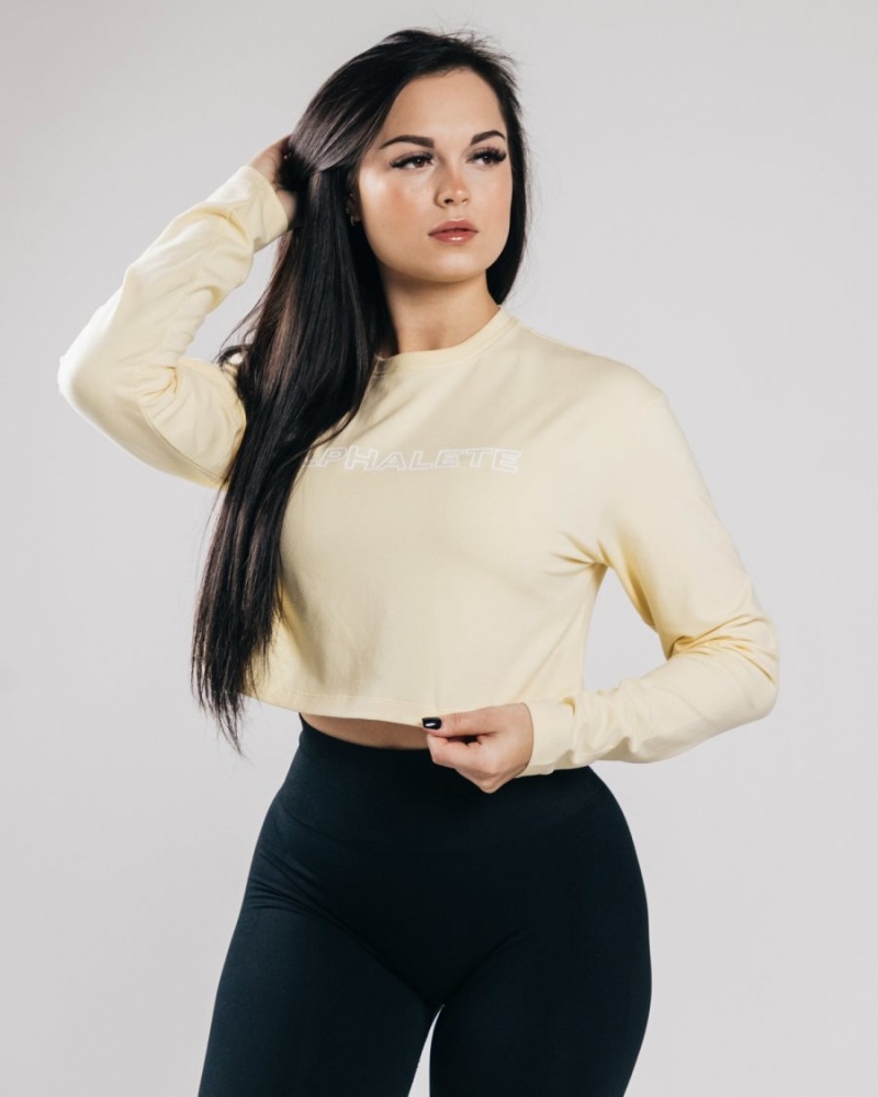 Manga Larga Alphalete Outlined Long Sleeve Crop Mujer Sea Salt | QIREAP-530