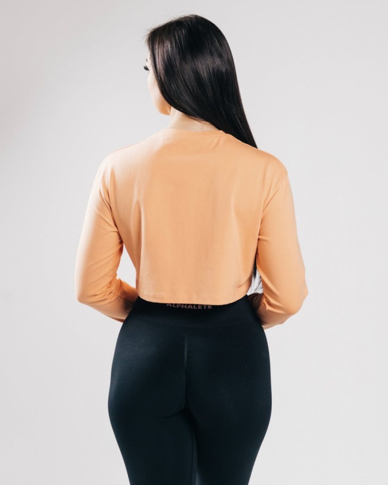 Manga Larga Alphalete Outlined Long Sleeve Crop Mujer Naranjas | AWQDZX-187