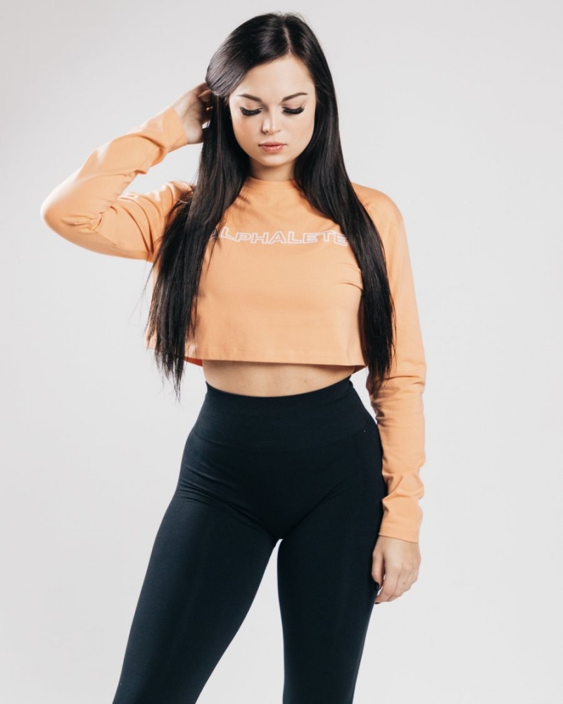 Manga Larga Alphalete Outlined Long Sleeve Crop Mujer Naranjas | AWQDZX-187