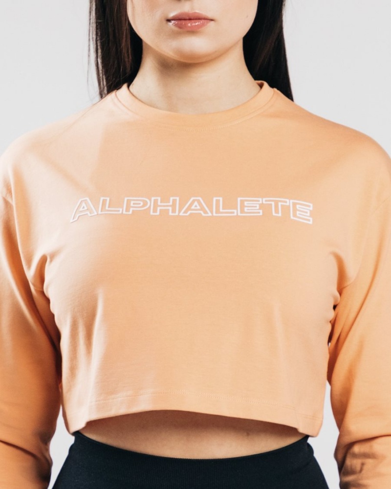 Manga Larga Alphalete Outlined Long Sleeve Crop Mujer Naranjas | AWQDZX-187