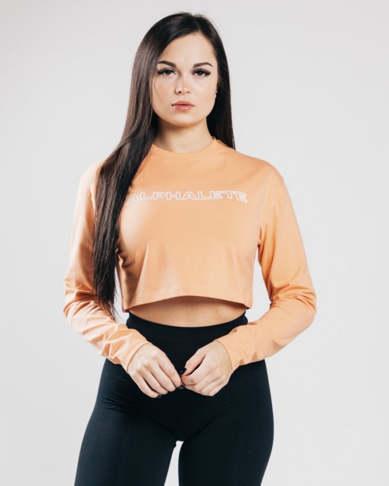 Manga Larga Alphalete Outlined Long Sleeve Crop Mujer Naranjas | AWQDZX-187