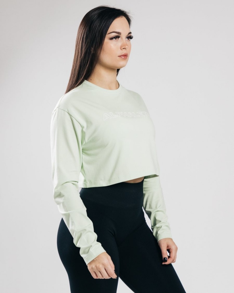 Manga Larga Alphalete Outlined Long Sleeve Crop Mujer Frozen Spring | CEYHFU-612