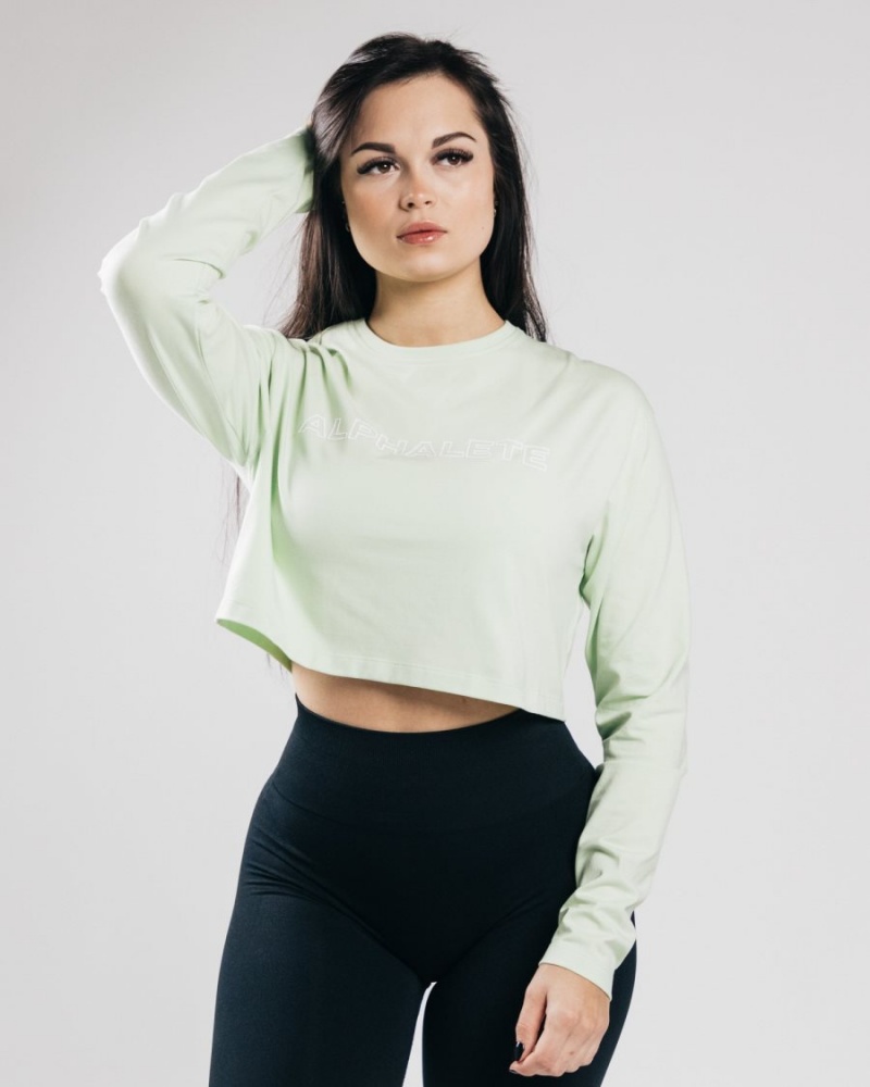 Manga Larga Alphalete Outlined Long Sleeve Crop Mujer Frozen Spring | CEYHFU-612