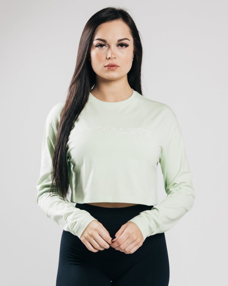 Manga Larga Alphalete Outlined Long Sleeve Crop Mujer Frozen Spring | CEYHFU-612