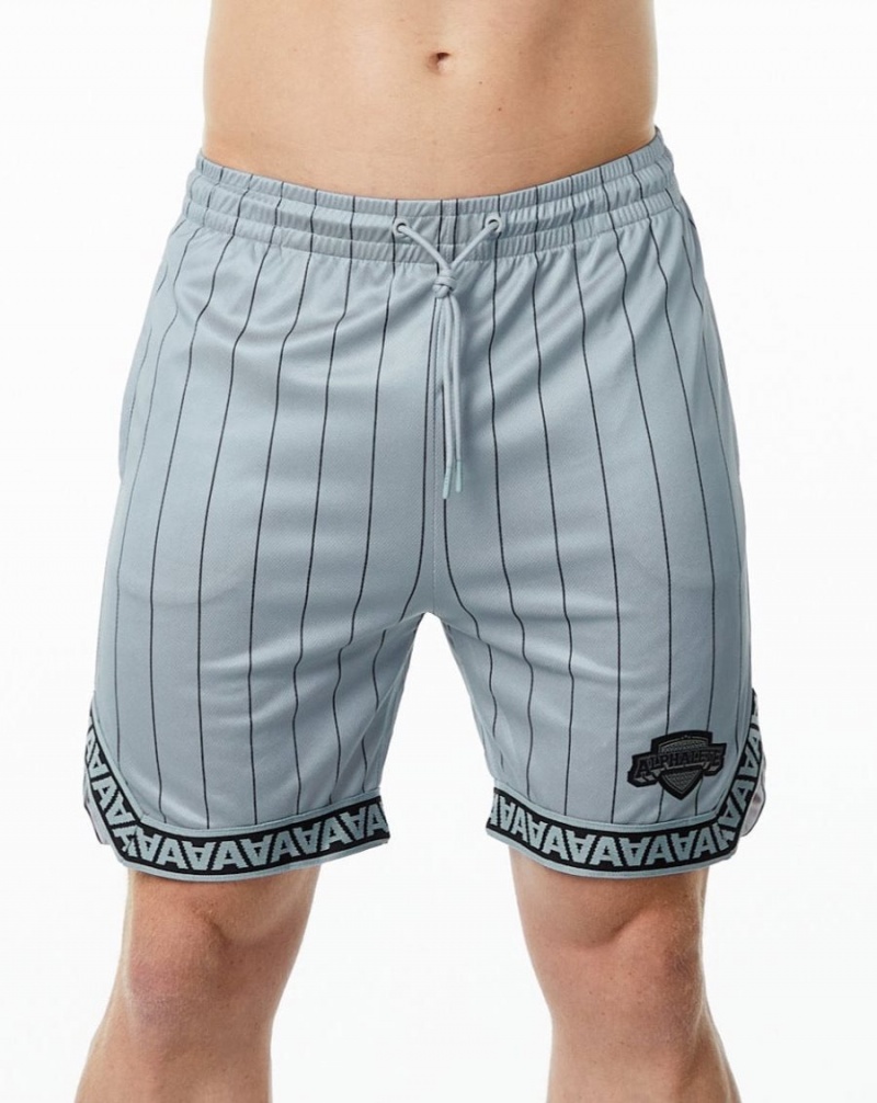 Short Alphalete Varsity Basketball Corta 9" Hombre Gris | SJLGUD-592