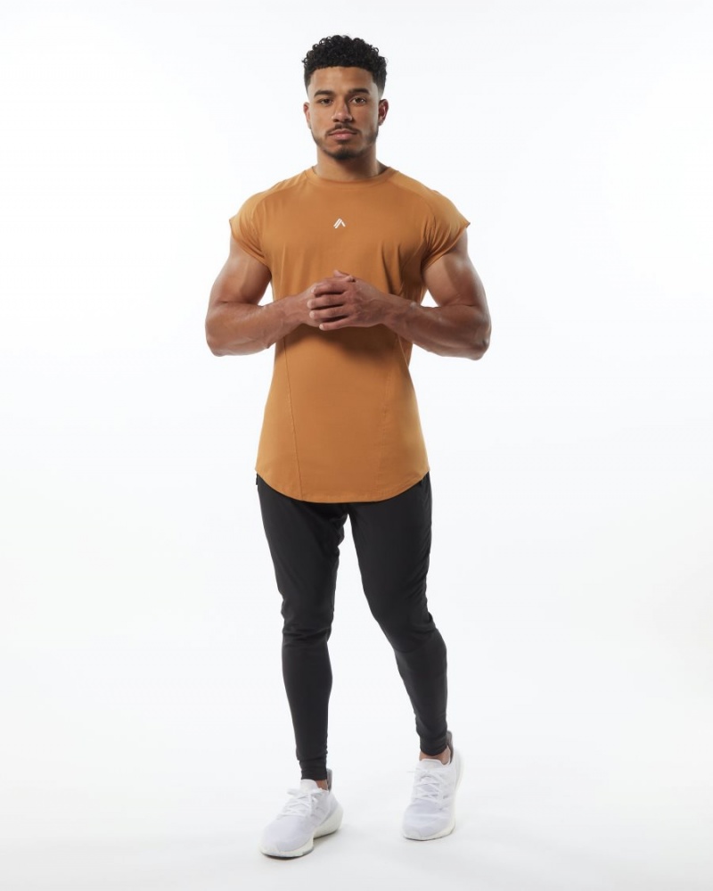 Stringers Alphalete Velocity Sin Manga Tee Hombre Chestnut | EYOLMX-596