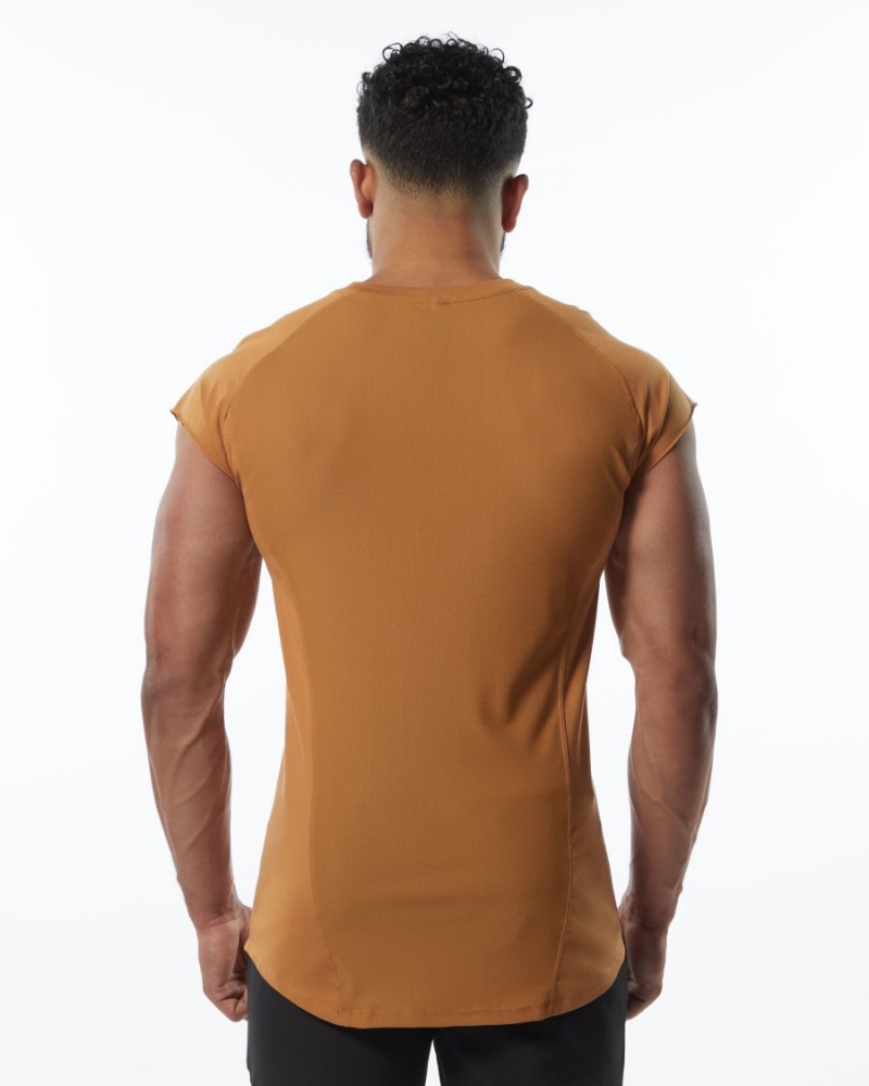 Stringers Alphalete Velocity Sin Manga Tee Hombre Chestnut | EYOLMX-596