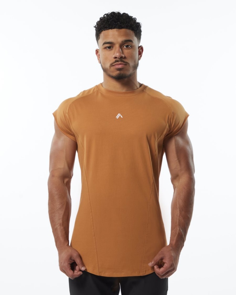 Stringers Alphalete Velocity Sin Manga Tee Hombre Chestnut | EYOLMX-596