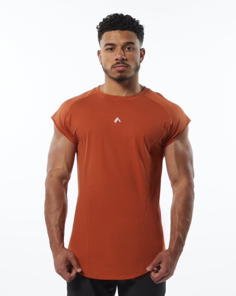 Stringers Alphalete Velocity Sin Manga Tee Hombre Sour Tangerine | KUQAGW-685