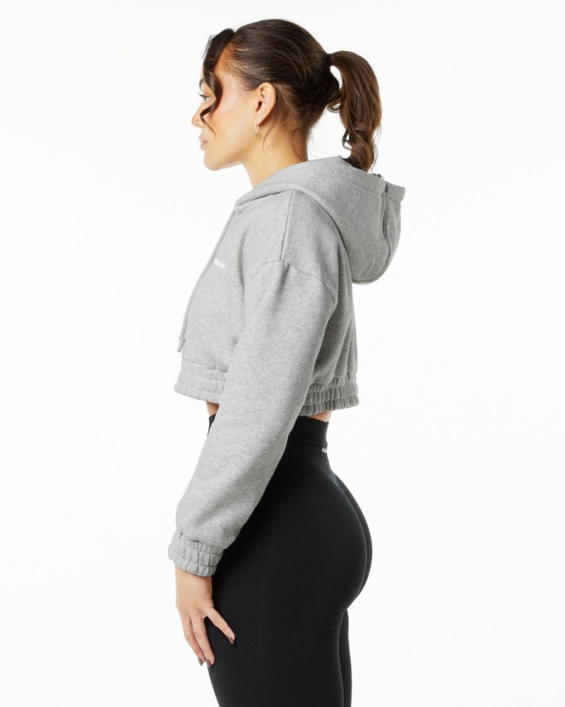 Sudadera con Capucha Alphalete Classic Capital Crop Hoodie Mujer Gris | BNHIGM-607