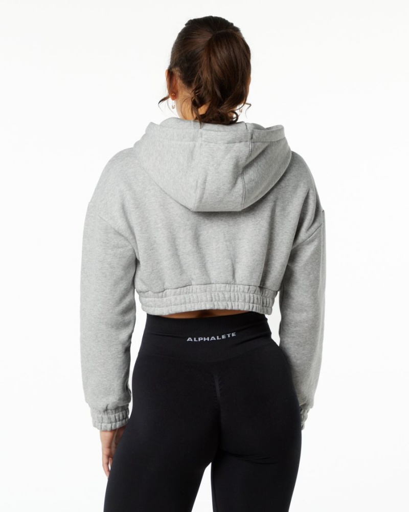 Sudadera con Capucha Alphalete Classic Capital Crop Hoodie Mujer Gris | BNHIGM-607