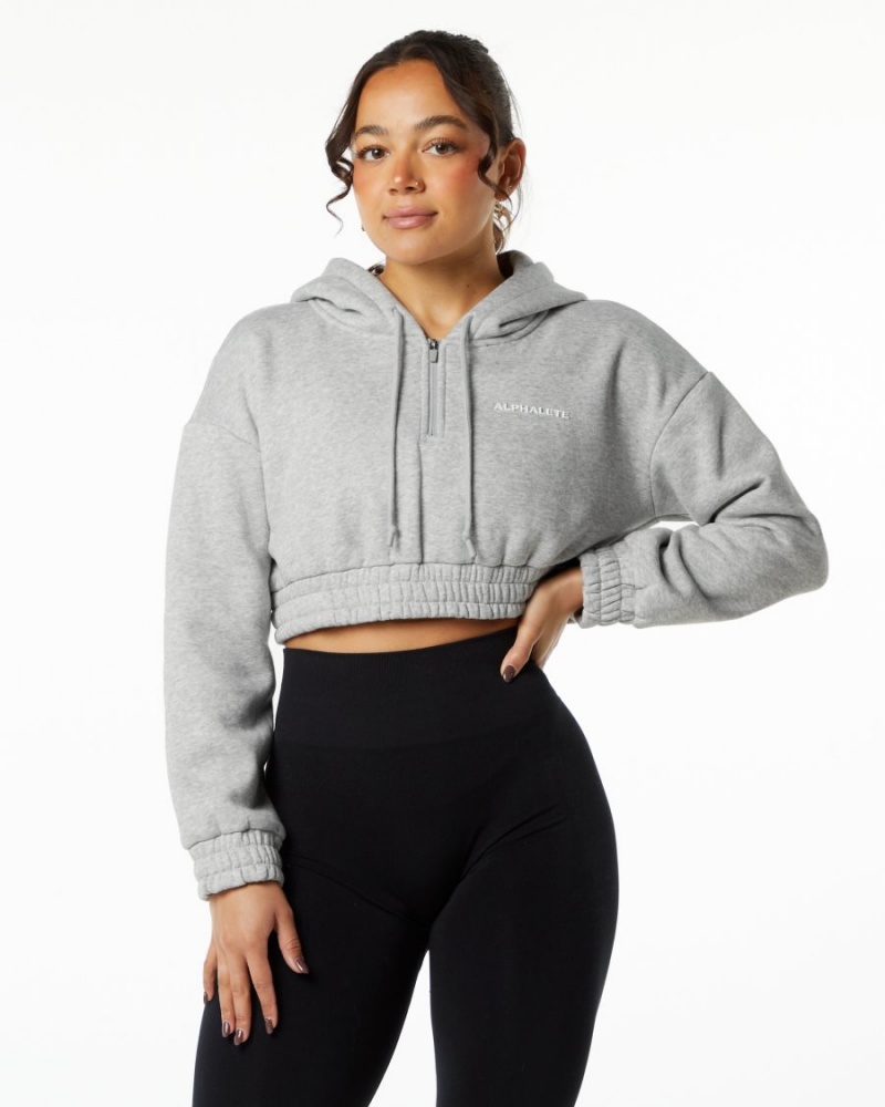 Sudadera con Capucha Alphalete Classic Capital Crop Hoodie Mujer Gris | BNHIGM-607