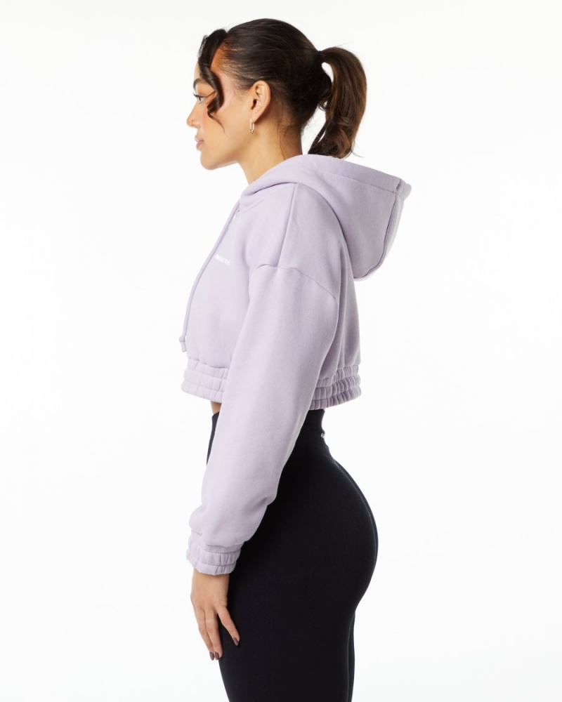 Sudadera con Capucha Alphalete Classic Capital Crop Hoodie Mujer Misty Lilac | HBMWDV-840