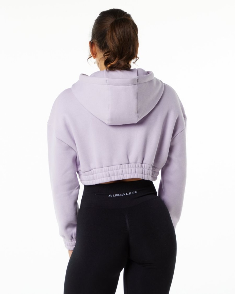 Sudadera con Capucha Alphalete Classic Capital Crop Hoodie Mujer Misty Lilac | HBMWDV-840