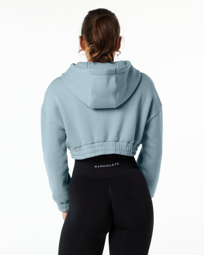 Sudadera con Capucha Alphalete Classic Capital Crop Hoodie Mujer Azules | KVUEYX-942