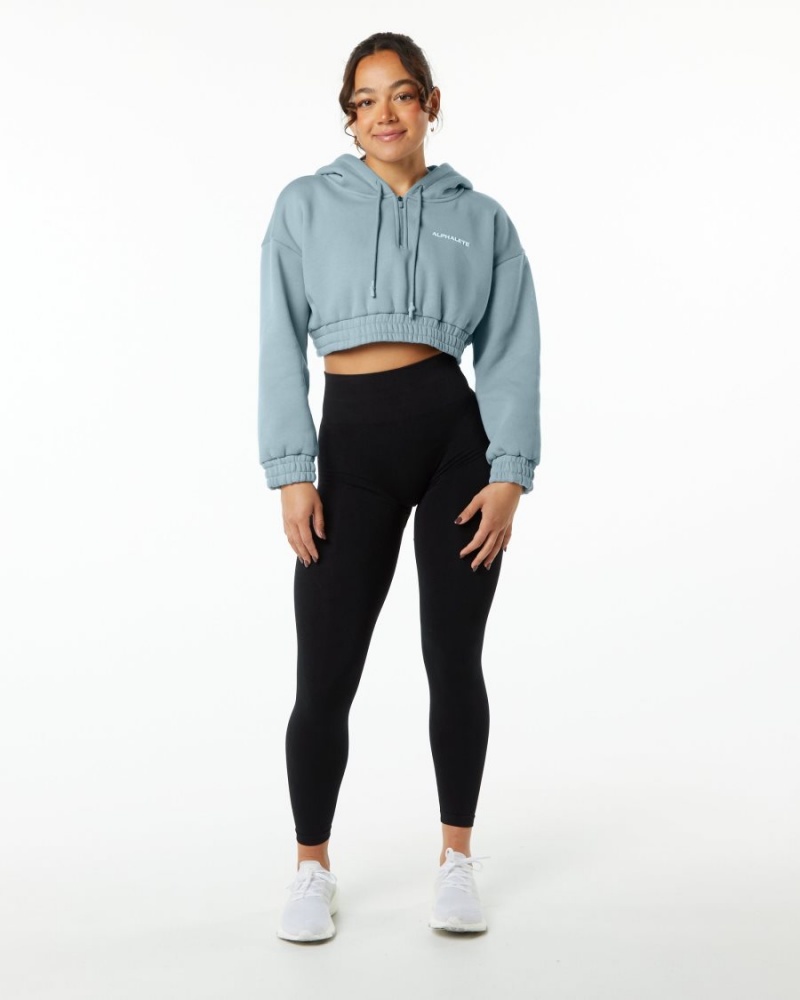 Sudadera con Capucha Alphalete Classic Capital Crop Hoodie Mujer Azules | KVUEYX-942