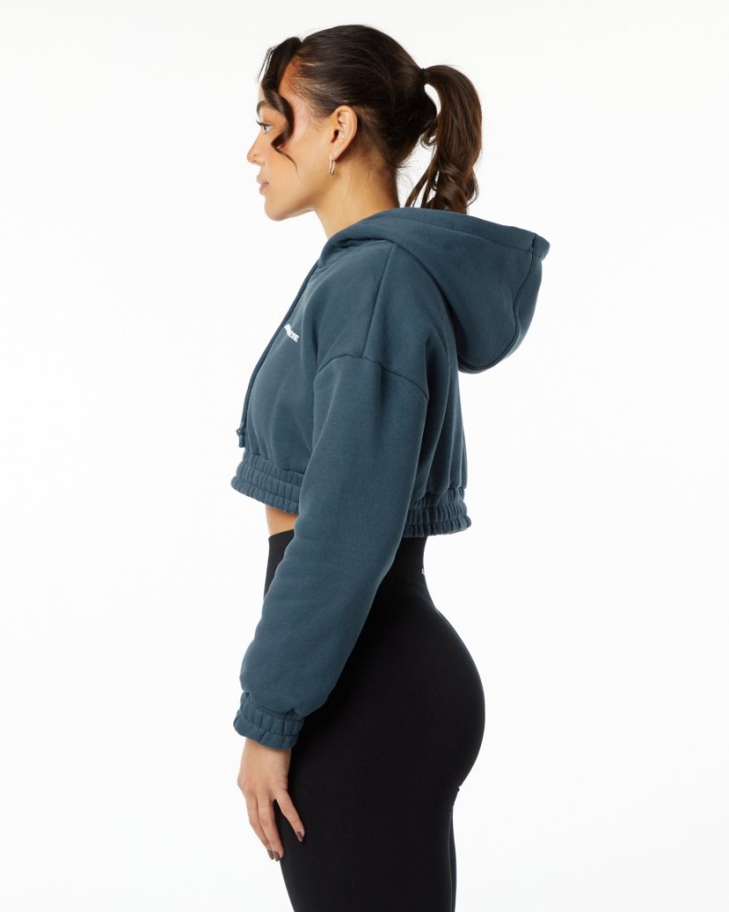 Sudadera con Capucha Alphalete Classic Capital Crop Hoodie Mujer Azules | TVWNGX-820