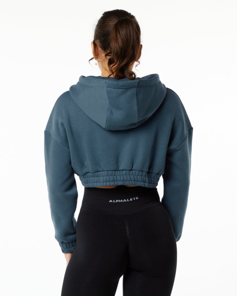 Sudadera con Capucha Alphalete Classic Capital Crop Hoodie Mujer Azules | TVWNGX-820