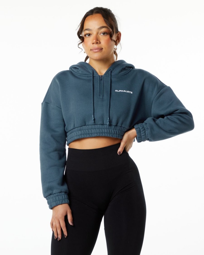 Sudadera con Capucha Alphalete Classic Capital Crop Hoodie Mujer Azules | TVWNGX-820