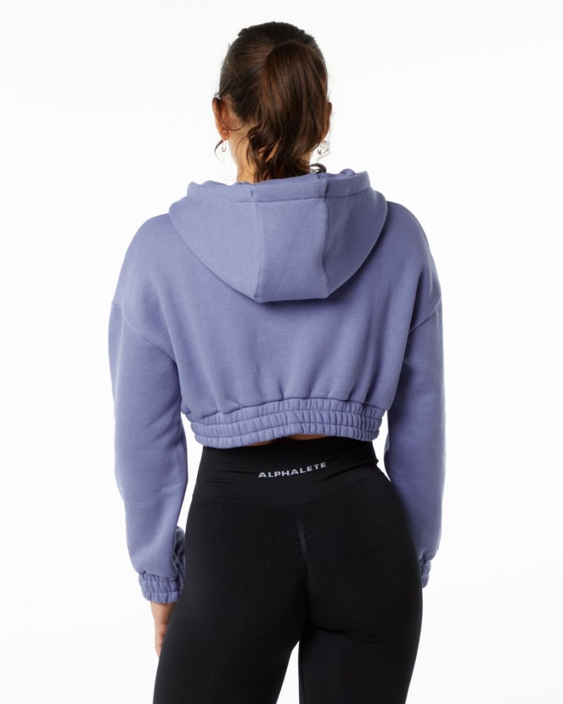 Sudadera con Capucha Alphalete Classic Capital Crop Hoodie Mujer Digital Violet | TJYQDI-213