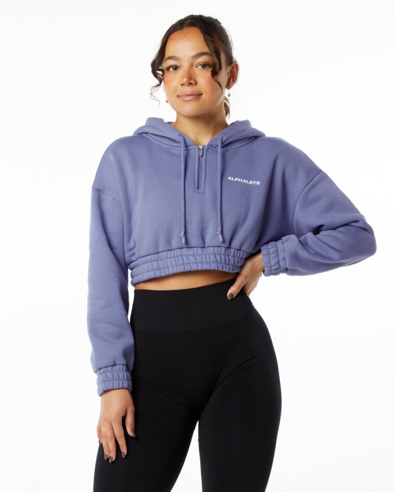 Sudadera con Capucha Alphalete Classic Capital Crop Hoodie Mujer Digital Violet | TJYQDI-213