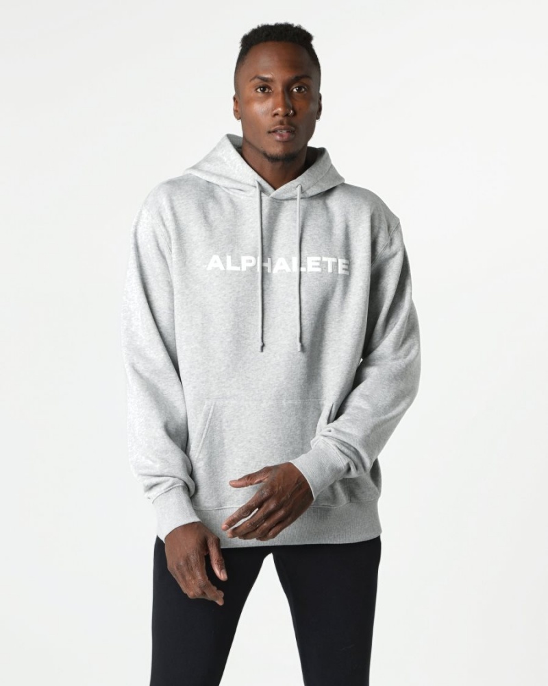 Sudadera con Capucha Alphalete Core Hoodie Hombre Gris | GJDXZS-240