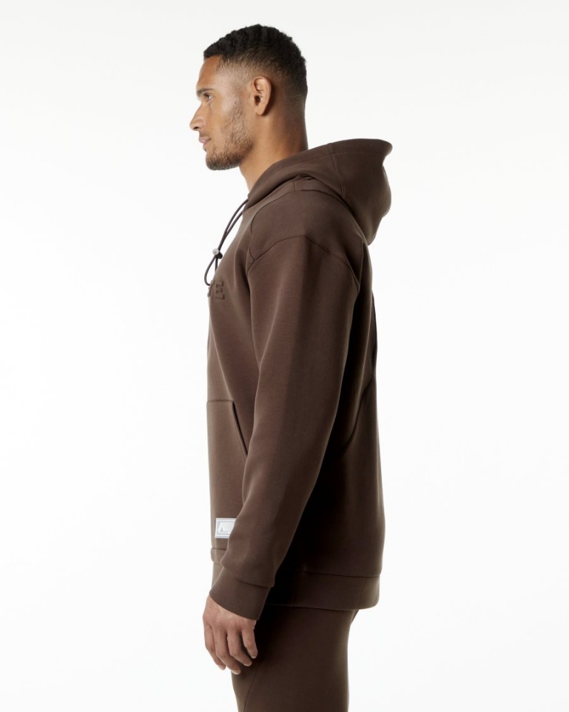 Sudadera con Capucha Alphalete ELMTS Hoodie Hombre Marrones | LXIVFU-215