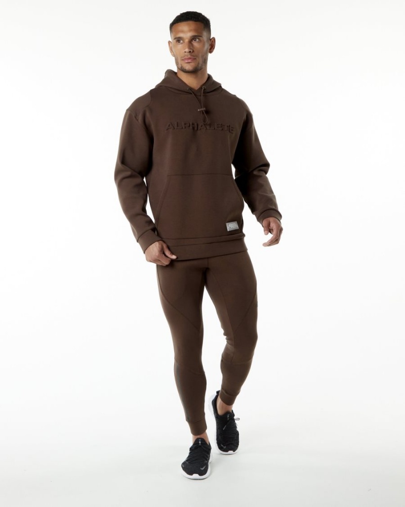 Sudadera con Capucha Alphalete ELMTS Hoodie Hombre Marrones | LXIVFU-215