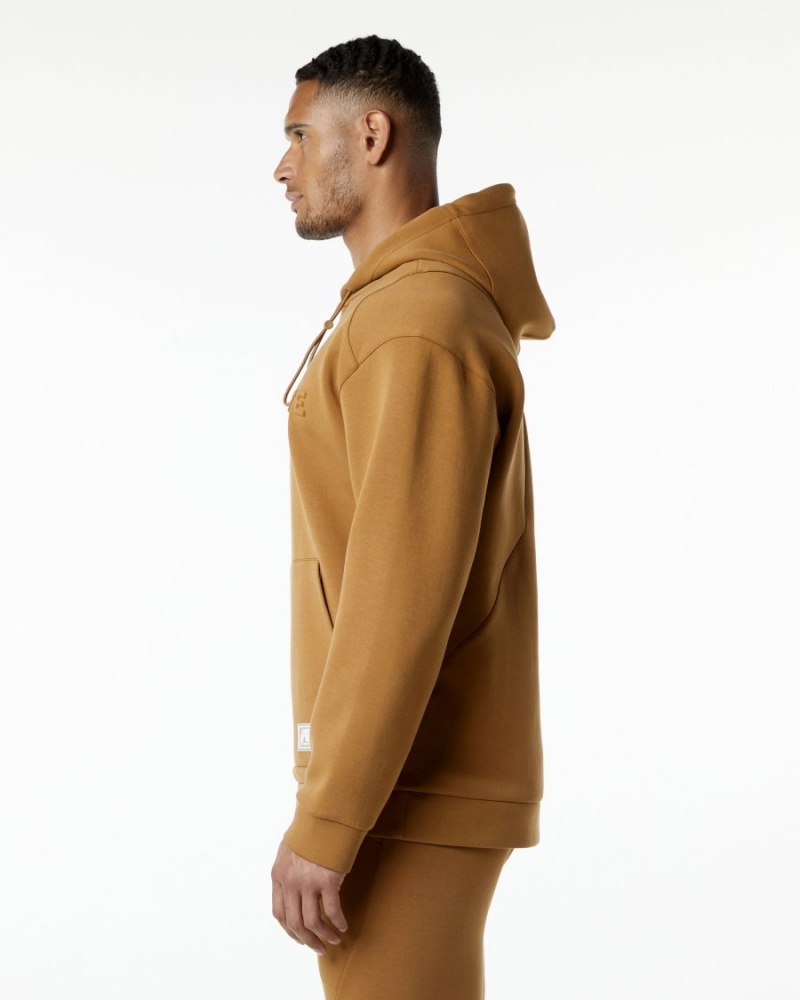 Sudadera con Capucha Alphalete ELMTS Hoodie Hombre Almond | GFOTNS-906