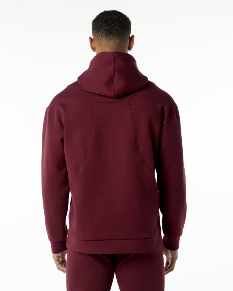 Sudadera con Capucha Alphalete ELMTS Hoodie Hombre Burdeos | ZXGUQO-203