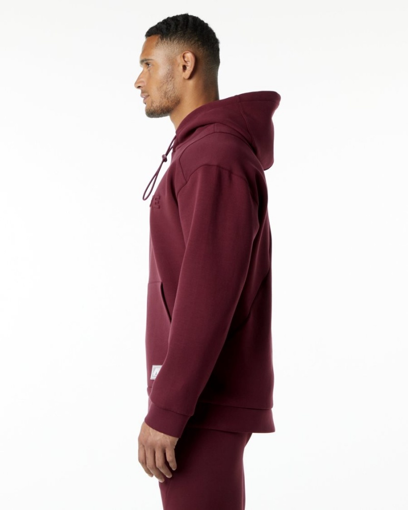 Sudadera con Capucha Alphalete ELMTS Hoodie Hombre Burdeos | ZXGUQO-203