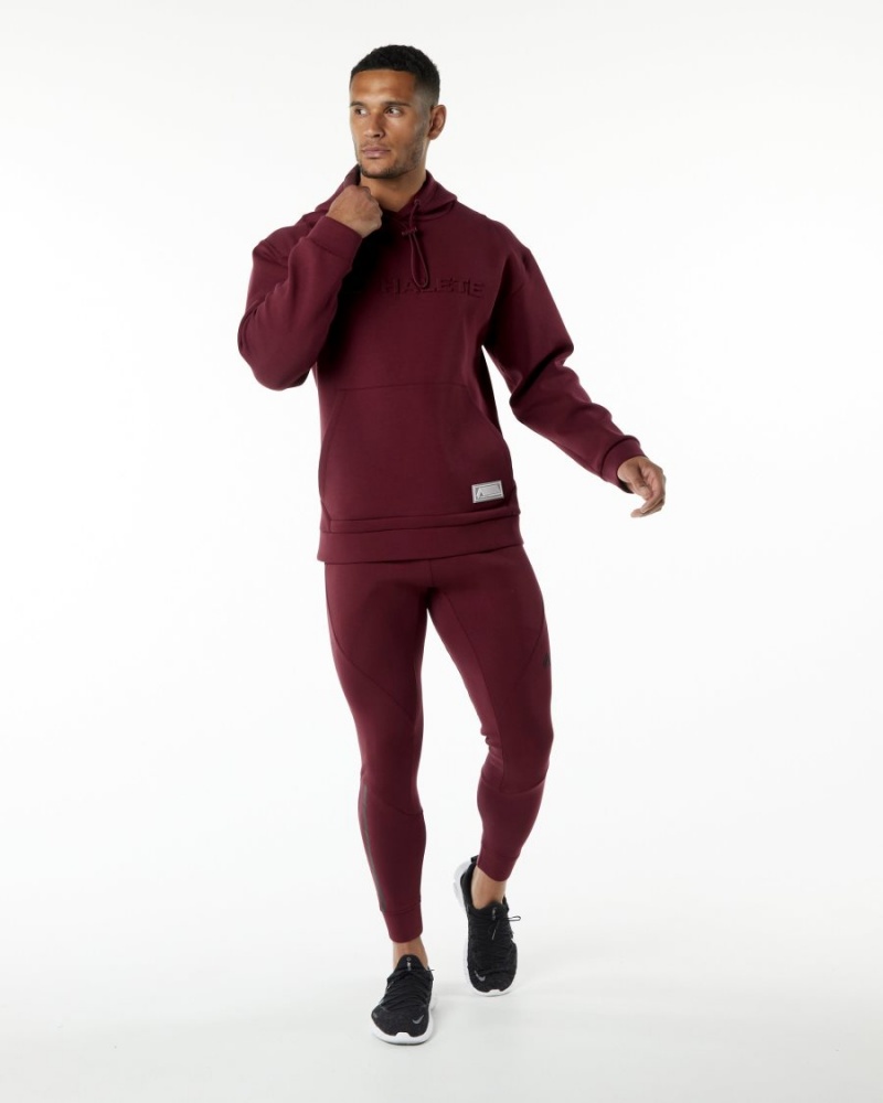 Sudadera con Capucha Alphalete ELMTS Hoodie Hombre Burdeos | ZXGUQO-203