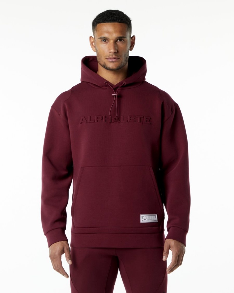 Sudadera con Capucha Alphalete ELMTS Hoodie Hombre Burdeos | ZXGUQO-203