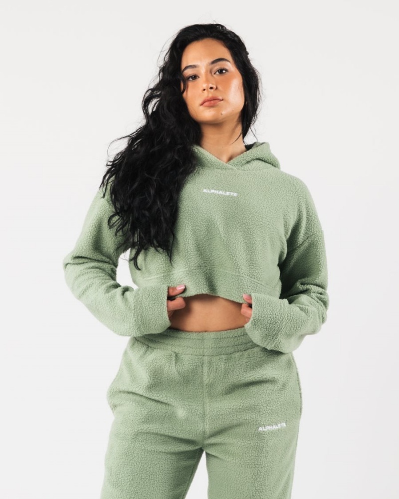 Sudadera con Capucha Alphalete King Crop Hoodie Mujer Sage | UZFKRA-579