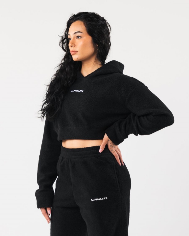 Sudadera con Capucha Alphalete King Crop Hoodie Mujer Negras | ZVXBFS-231