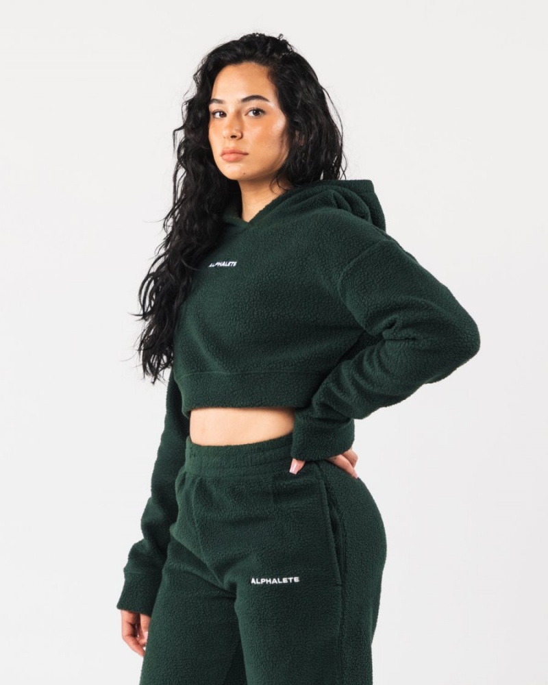 Sudadera con Capucha Alphalete King Crop Hoodie Mujer Evergreen | KFEBWY-610