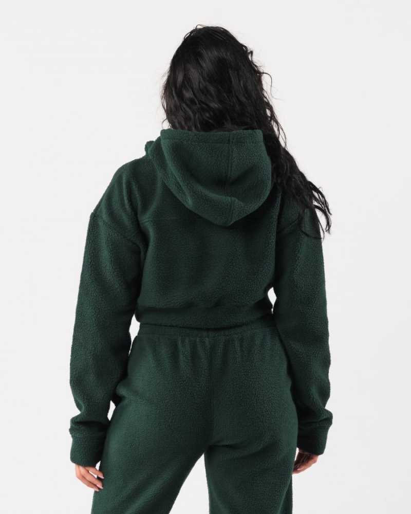 Sudadera con Capucha Alphalete King Crop Hoodie Mujer Evergreen | KFEBWY-610