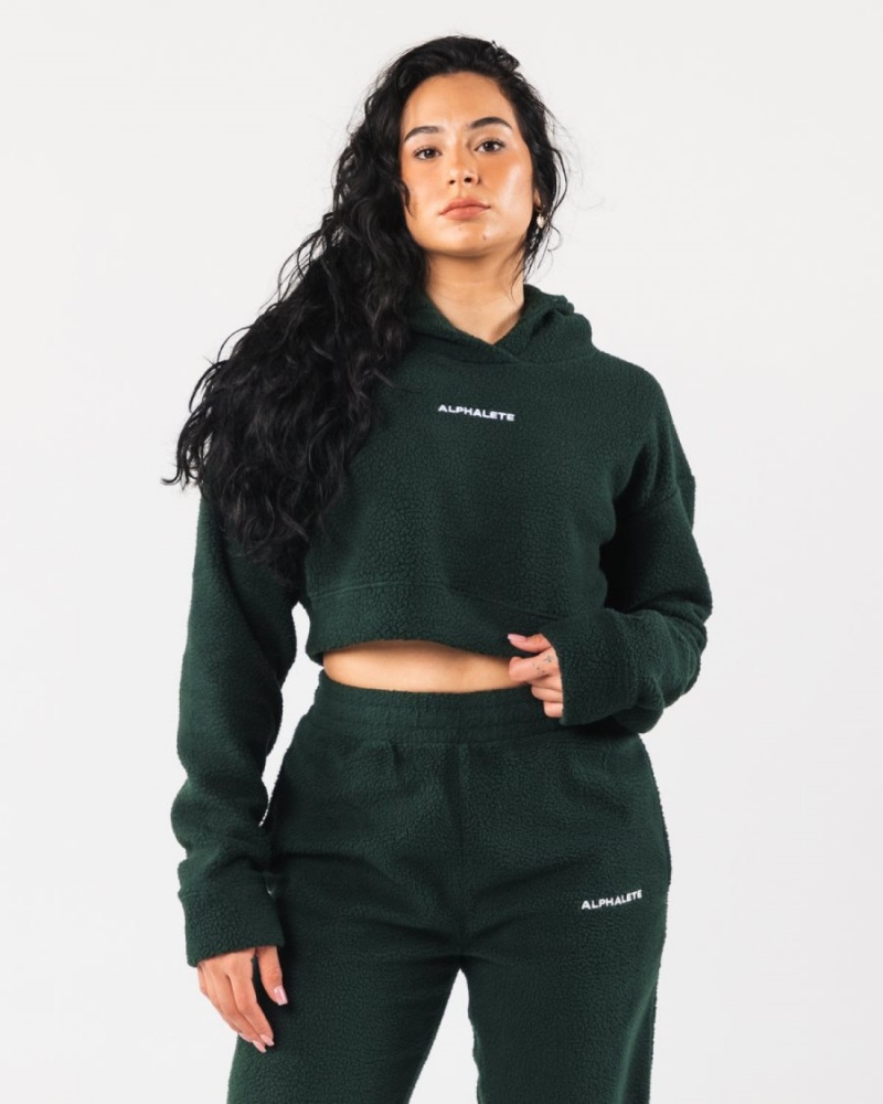 Sudadera con Capucha Alphalete King Crop Hoodie Mujer Evergreen | KFEBWY-610