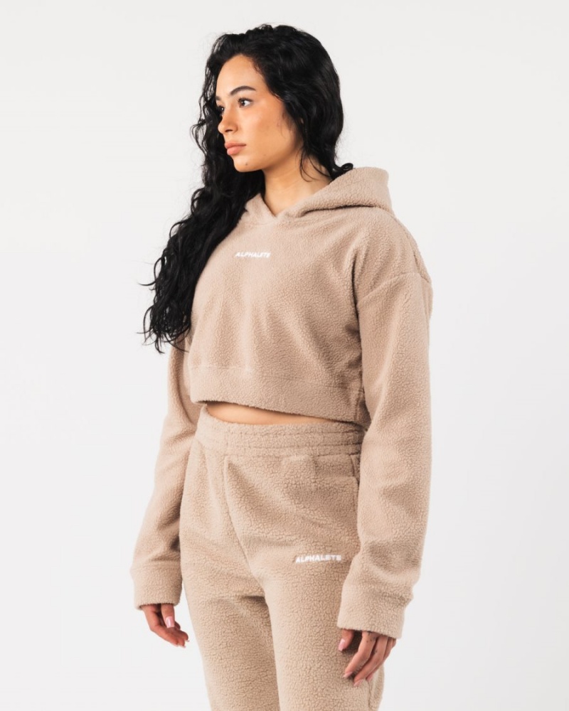 Sudadera con Capucha Alphalete King Crop Hoodie Mujer Linen | EWIOGA-376