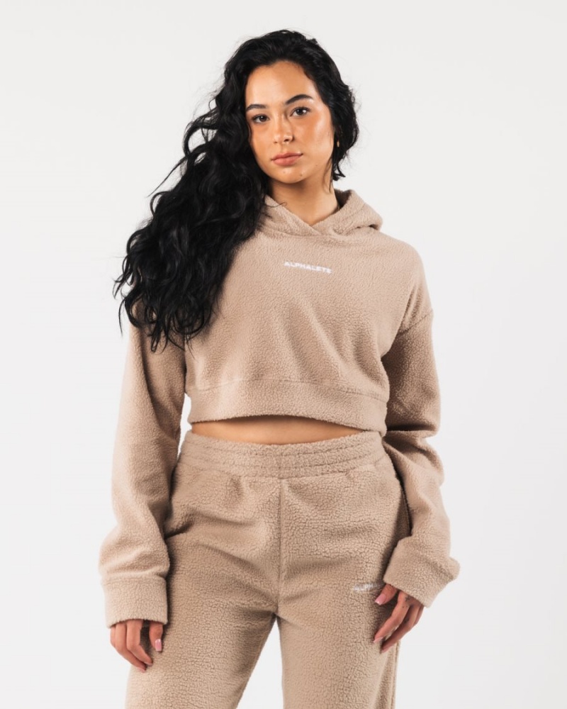 Sudadera con Capucha Alphalete King Crop Hoodie Mujer Linen | EWIOGA-376